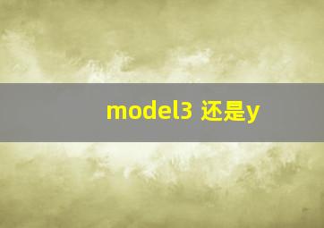 model3 还是y